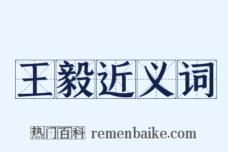 王毅近义词是什么意思的图片